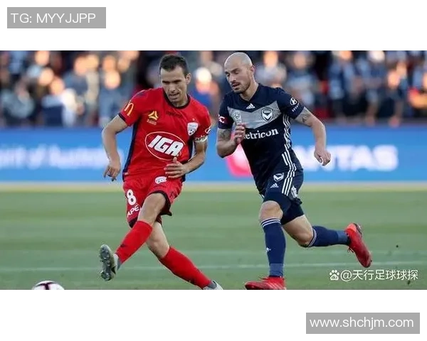 阿德莱德与墨尔本城精彩对决比分预测及分析建议